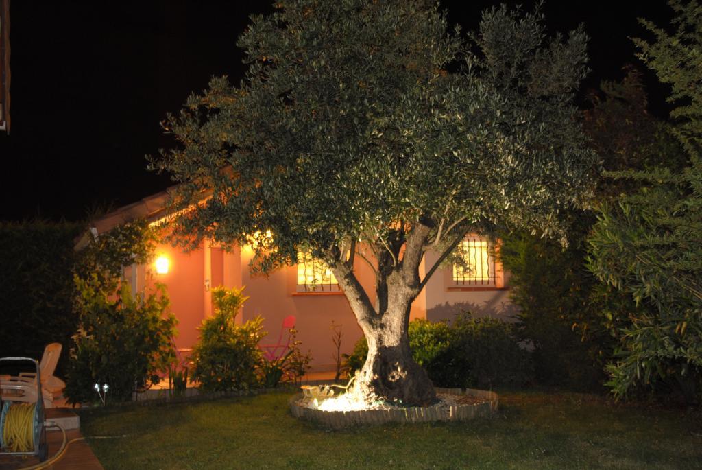 Les Cypres Florentins Colomiers Phòng bức ảnh