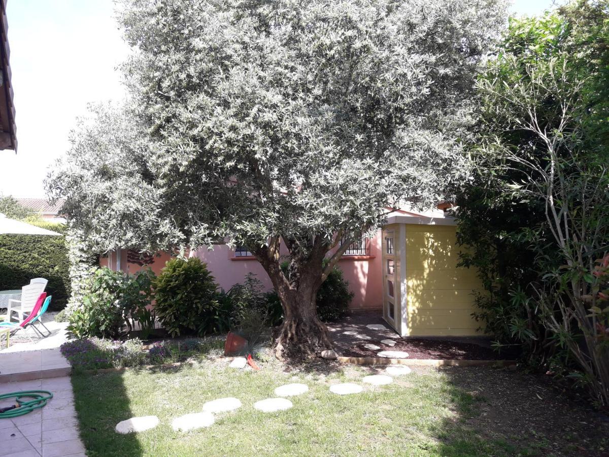 Les Cypres Florentins Colomiers Ngoại thất bức ảnh