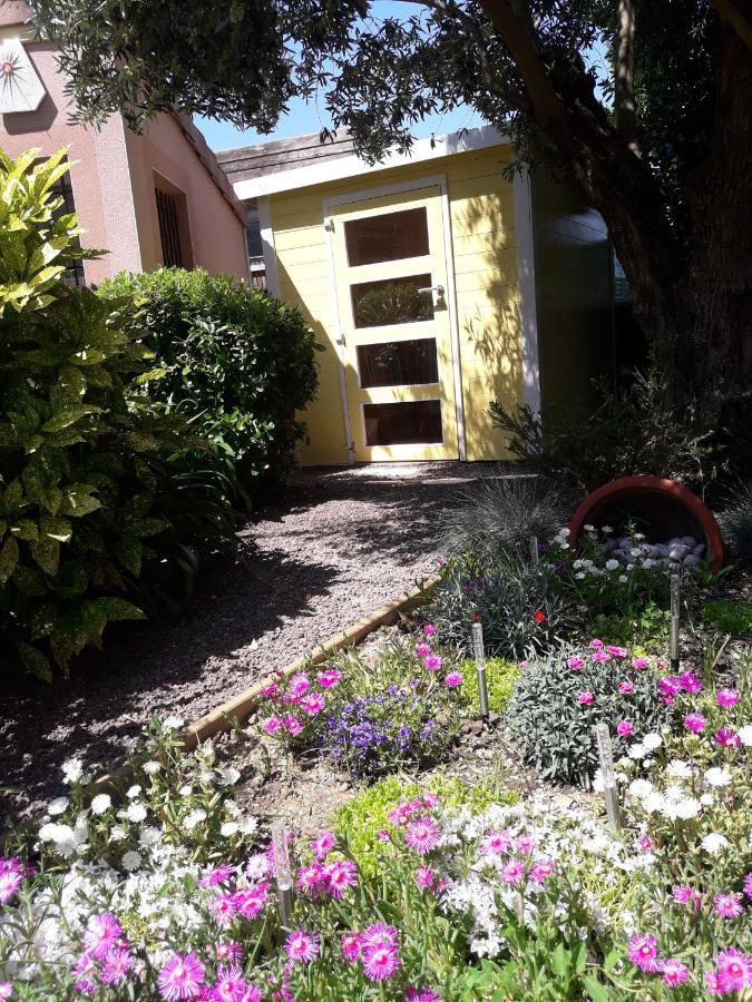 Les Cypres Florentins Colomiers Ngoại thất bức ảnh